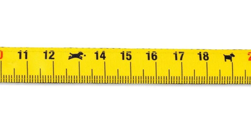 Max & Molly Short Leash Ruler/XS - Короткий повідець Лінійка